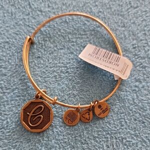 Alex and Ani Gold Charm Bracelet